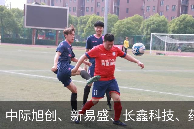 中际旭创、新易盛、长鑫科技、药明康德集体被增持，机构：当前A股不宜过度悲观