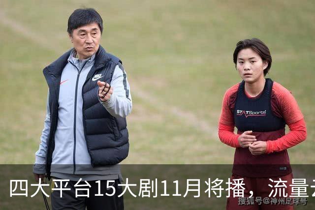 四大平台15大剧11月将播，流量云集，哪部有爆款潜力？