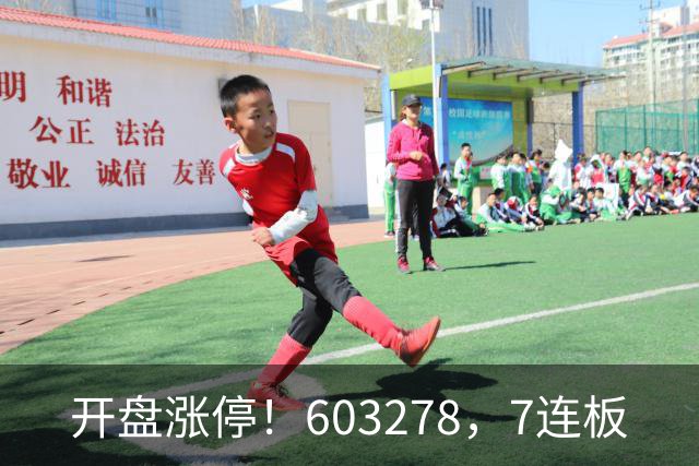 开盘涨停！603278，7连板