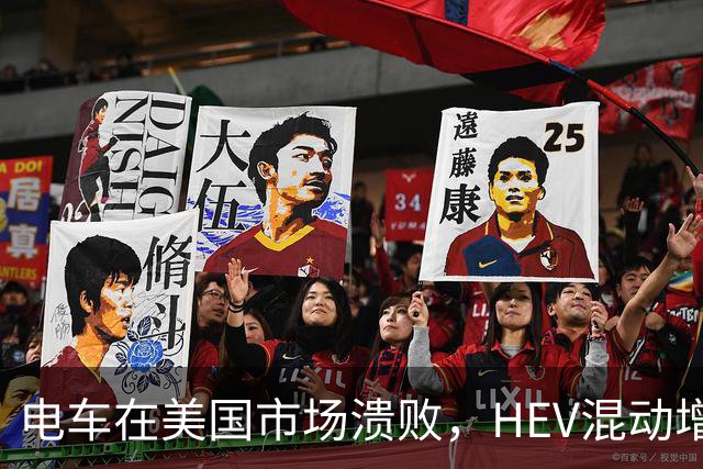 电车在美国市场溃败，HEV混动增长凶猛，丰田电车竟然卖得不错