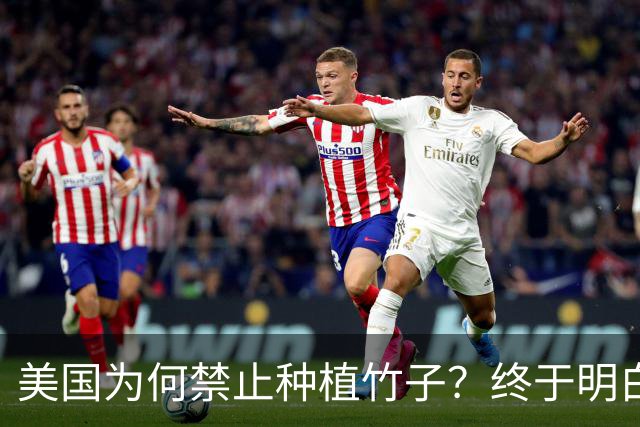 美国为何禁止种植竹子？终于明白，原来竹子比我们想象的更可怕